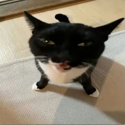 emonyyx