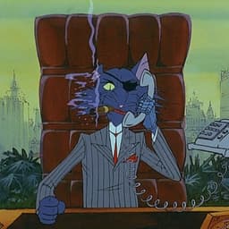 Gatto2
