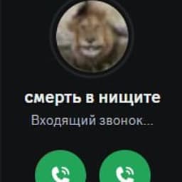 aidgg1g
