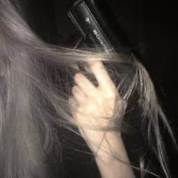 why_zxc77