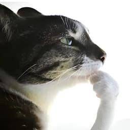 w1nl0ck3r