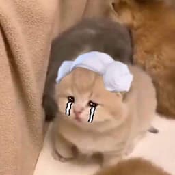 GW_sh1t