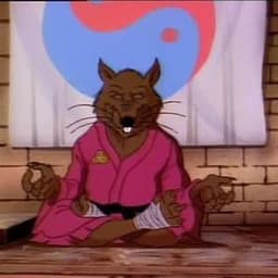 Splinter28