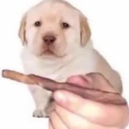 nulanho