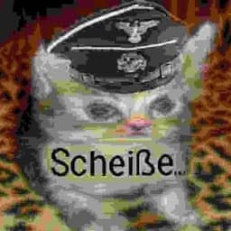 CHIPIPA