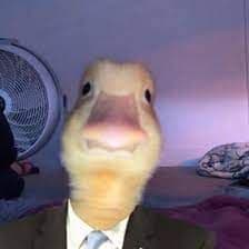 Heke