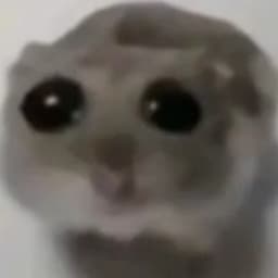 MaverFox