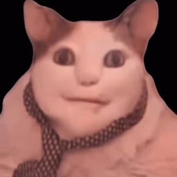 Zoch_