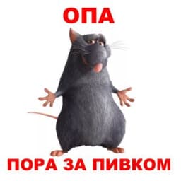 barsikdima