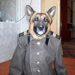 tapMedic