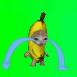 rusfyodor