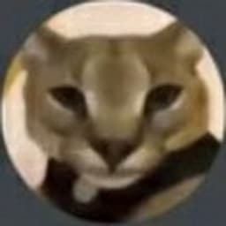 SkibidiDan