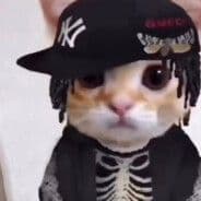 AlfonsSavage