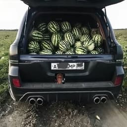 sunw3y