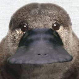 fedyxich