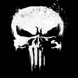 The0Punisher