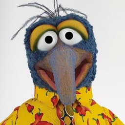 GonZoNak