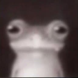 ENC_