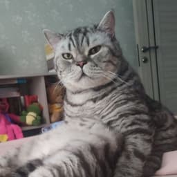 leika