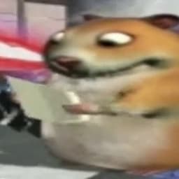 HamsterJr