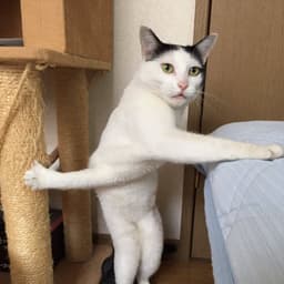 Denkchan