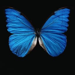 aquA_G