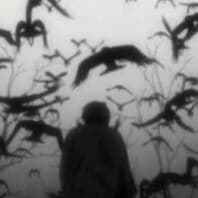 urykami