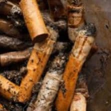 toilet_cig
