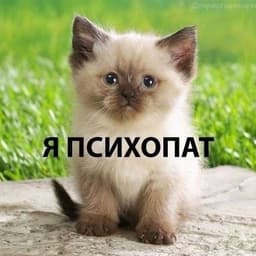 Aen_Elleais