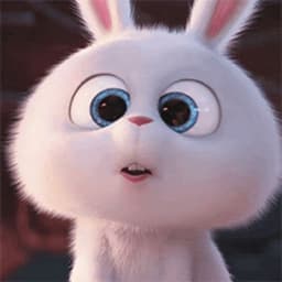 Kasheeei
