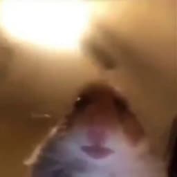 _c0L1n_