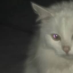 -xzexz