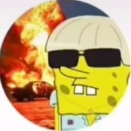 Cichy77