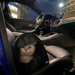 xxtrm