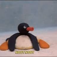 NOOT_NOOT11
