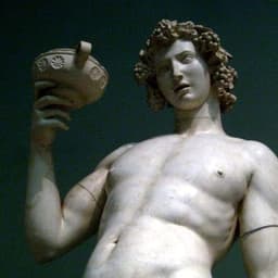 Dionysus18