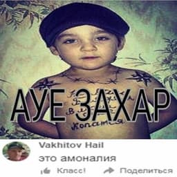 venngeeer