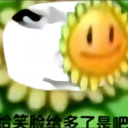 ozx666