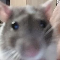 BJIADdd
