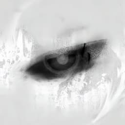 amora3