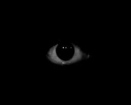 Silent_Howl