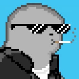 SqRrrrt