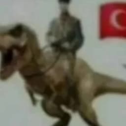 bokokusu