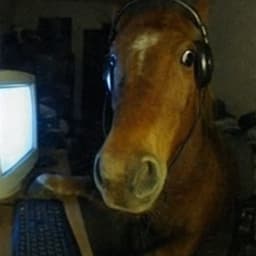 bornoflip