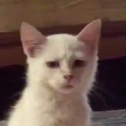 _skadooshh