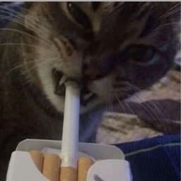 zDriap_