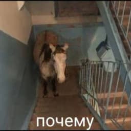 tailw1nd-