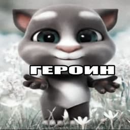 limpogyouu
