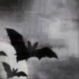horror-