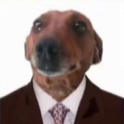 Dan4el228